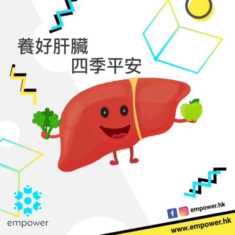 養好肝臟 四季平安