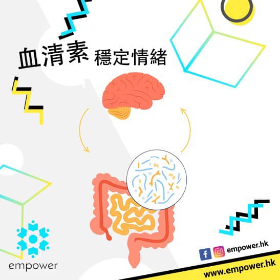 快樂因子 -- 血清素