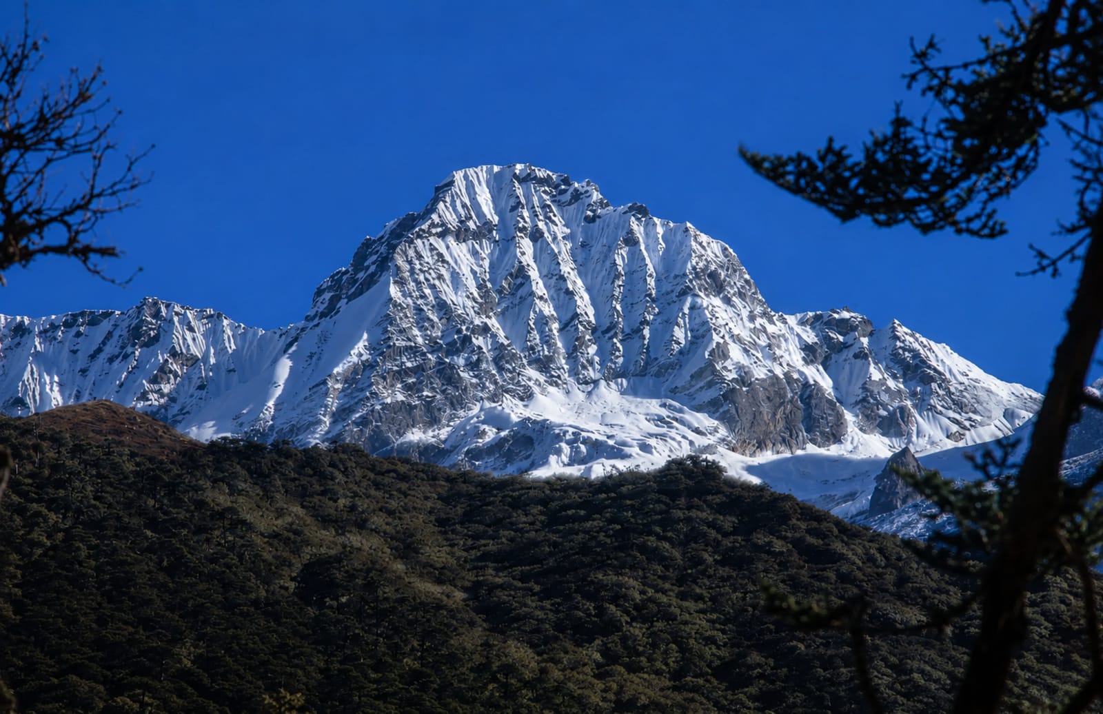 Kasturi Orar Round Trek in Sikkim