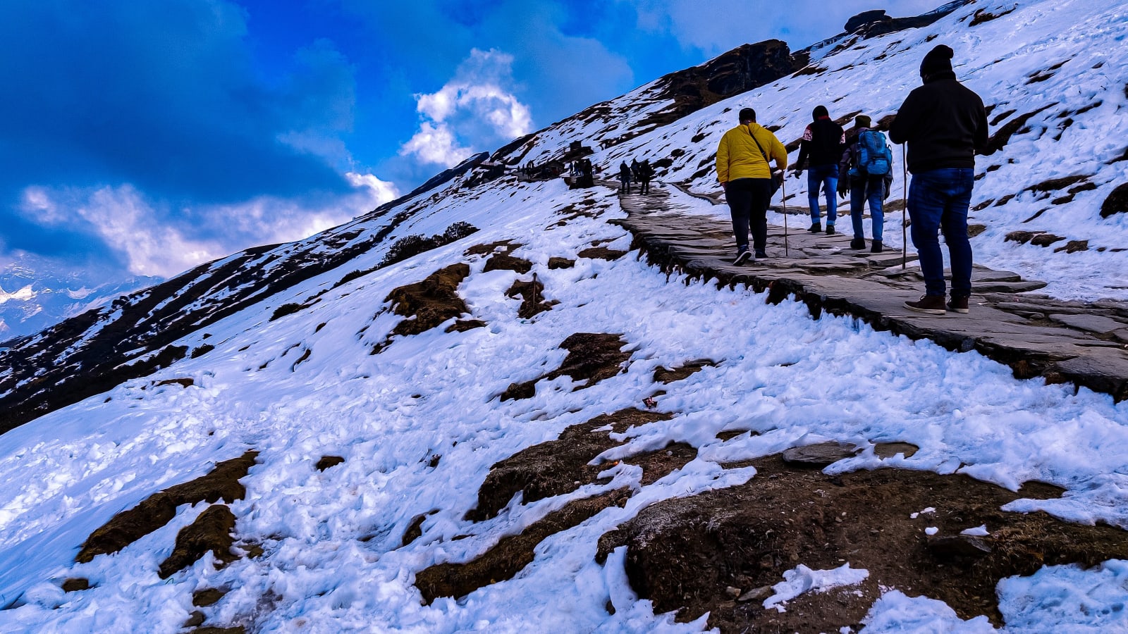 Chopta Tungnath & Chandrashila Trek in Uttarakhand