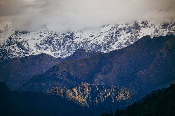 Chopta Tungnath & Chandrashila Trek in Uttarakhand