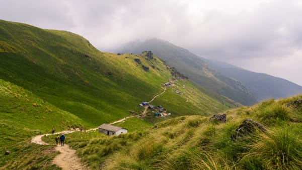 Rudranath Trek in Uttarakhand