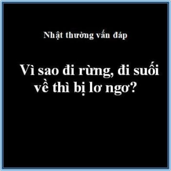 đi suối, đi rừng về bị lơ ngơ