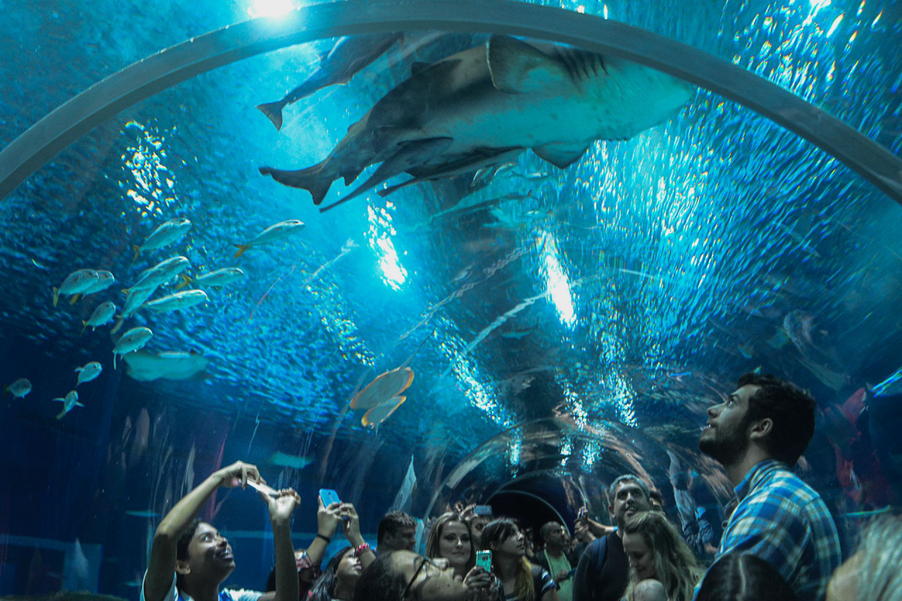 AquaRio Rio de Janeiro