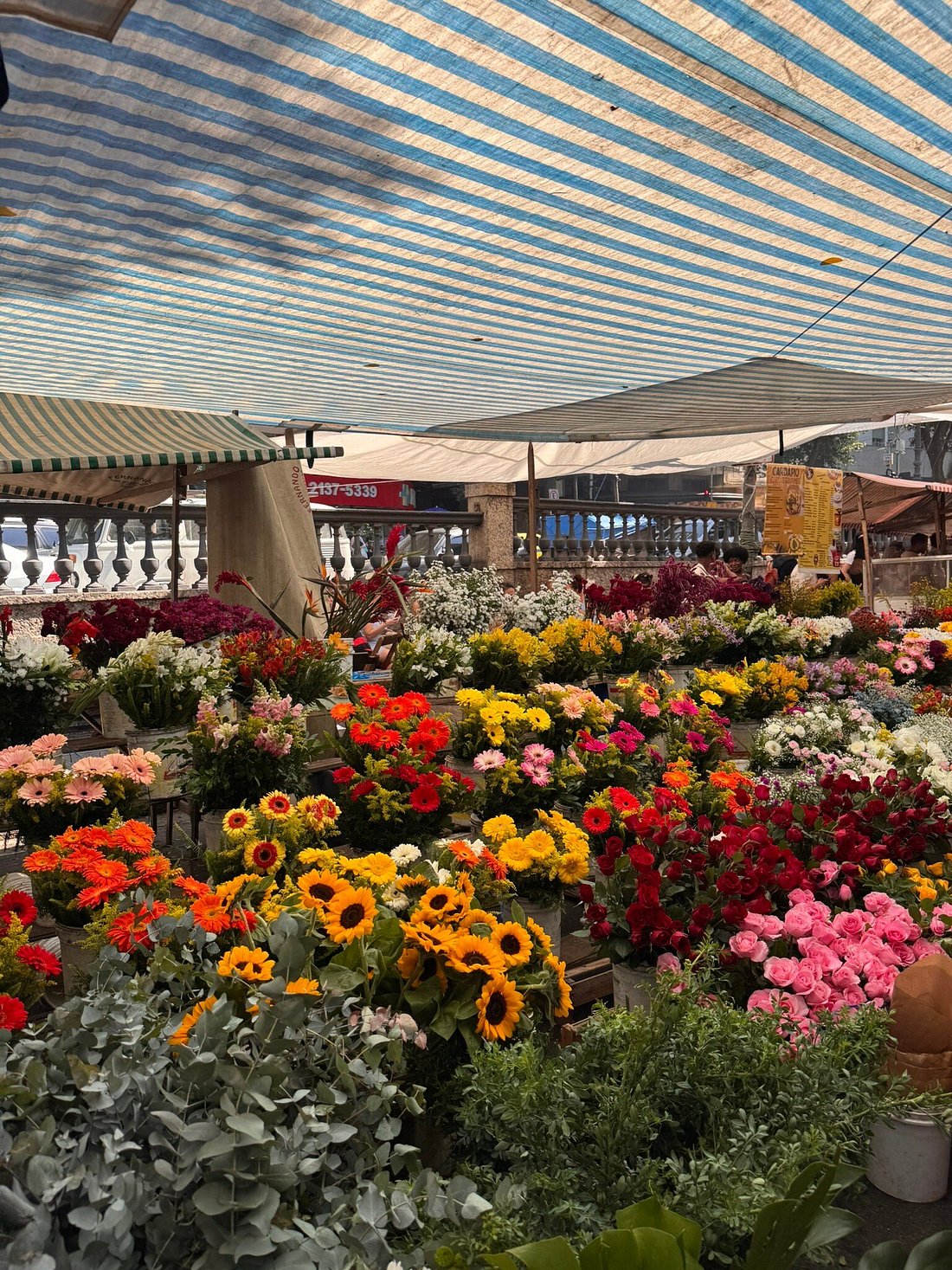 Detail of Feira da Glória