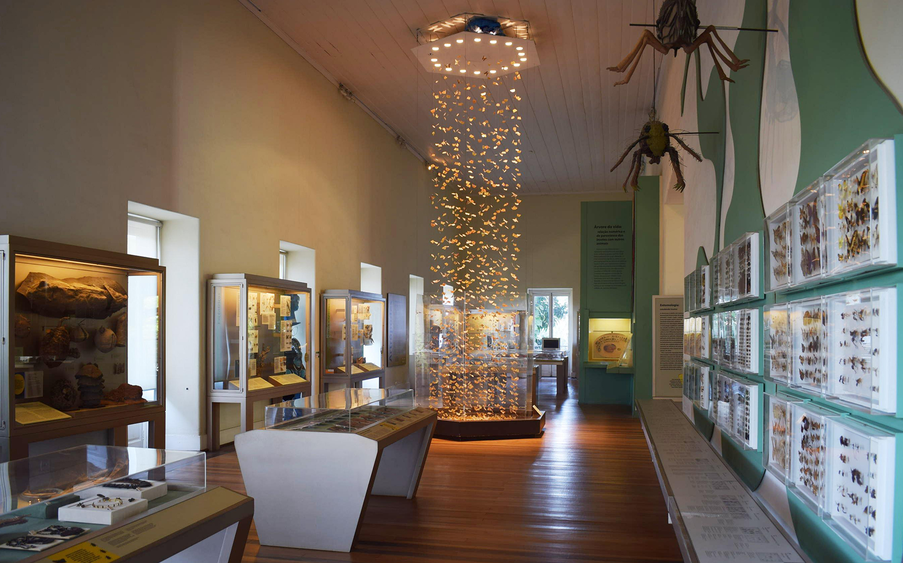 Otra foto de Museu Nacional – UFRJ