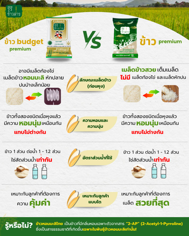 [14 กก.] ข้าวหอมมะลิใหม่ ปี69 เกรด BUDGET PREMIPREMIUM ( ข้าวเบอร์2 ) รูปที่ 4 จาก 4