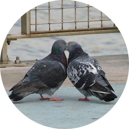 People meeting in NYC