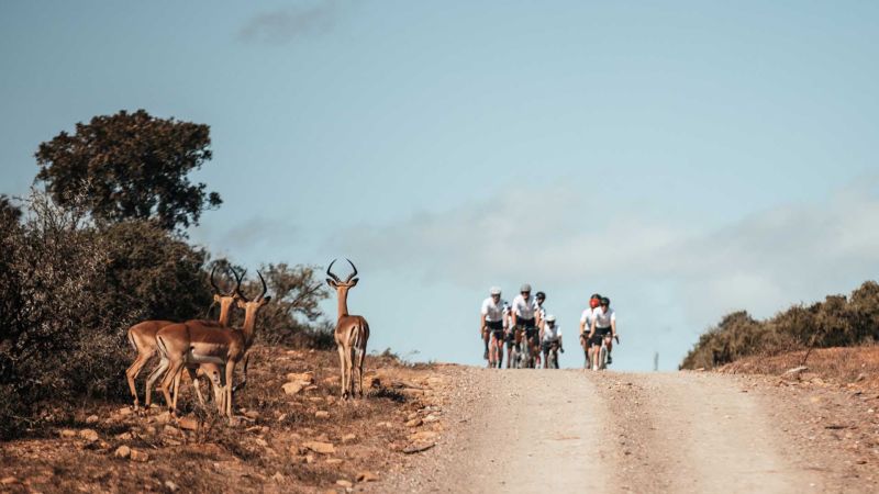 Cycling tour scenery