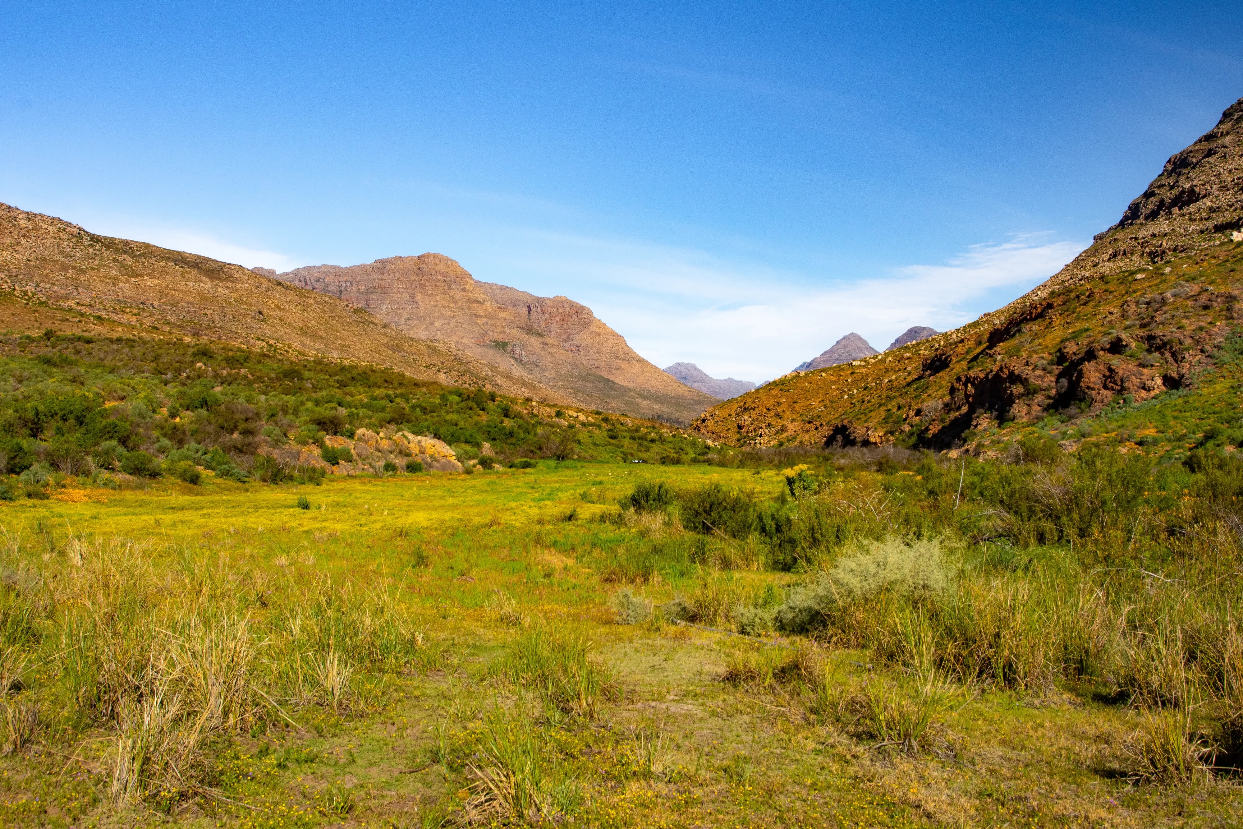 Cederberg highlands fynbos Western Cape gravel cycling