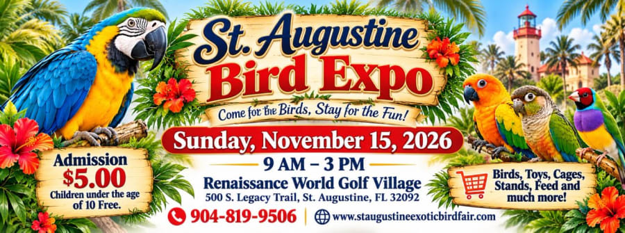 St. Augustine Exotic Bird Fair