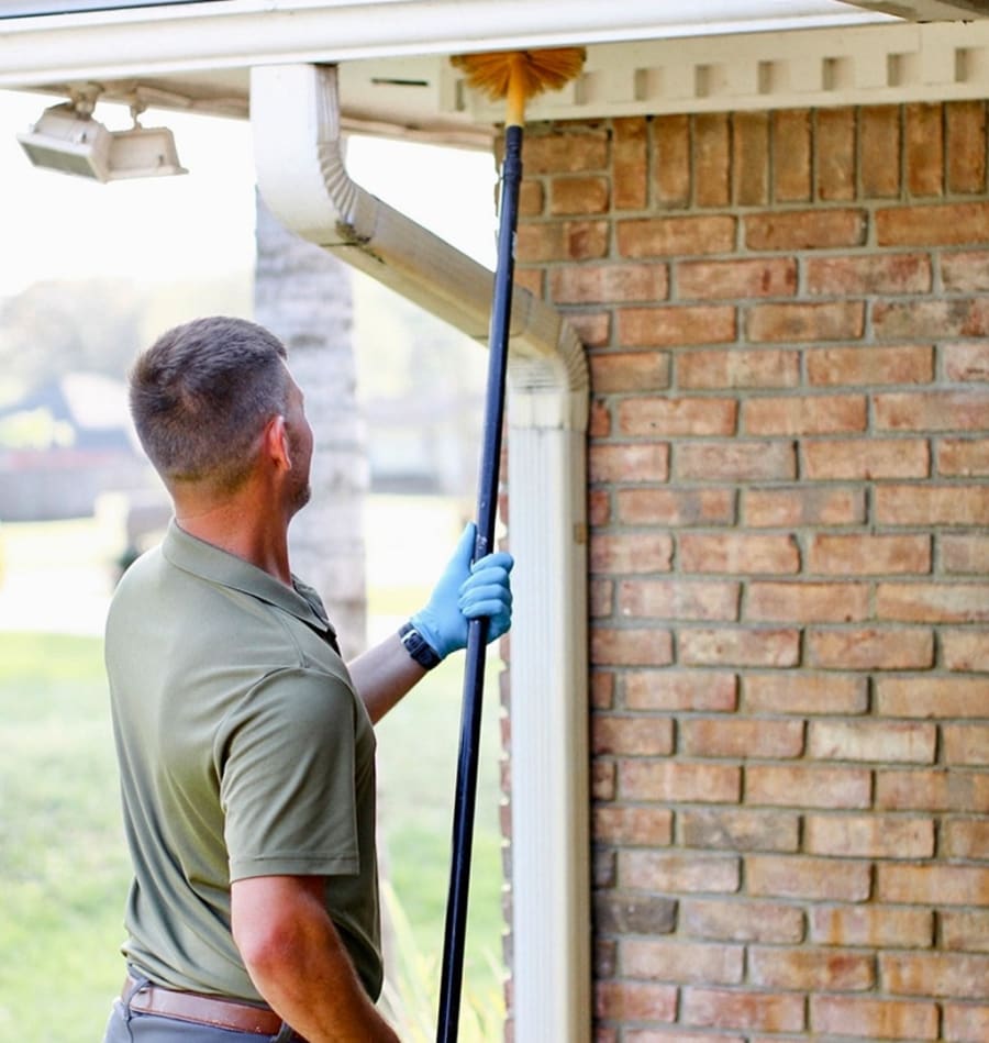Wildlife & Pest Control Experts