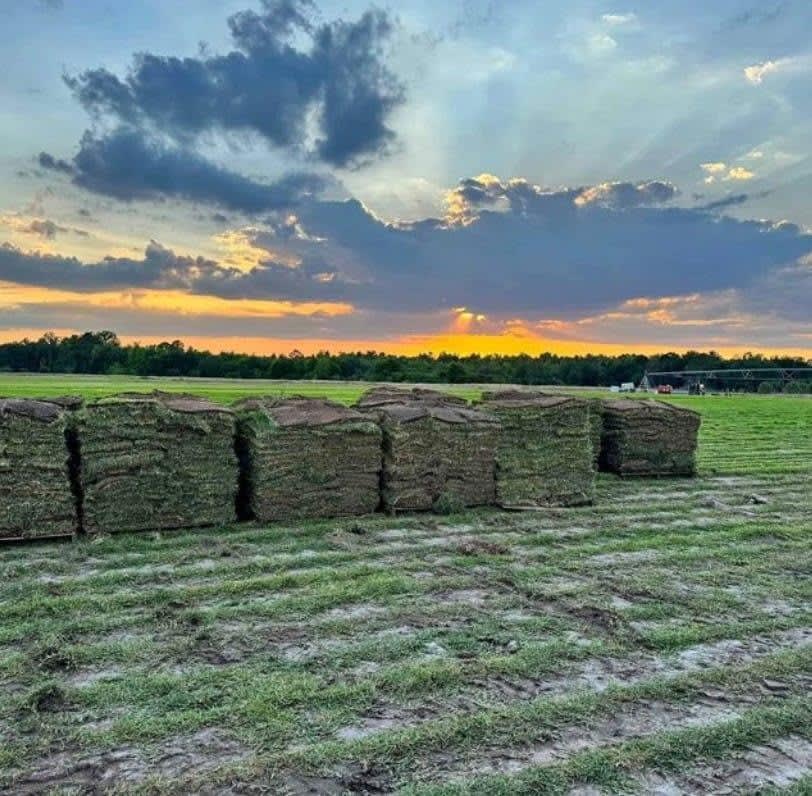 Rambo's Sod & Mulch