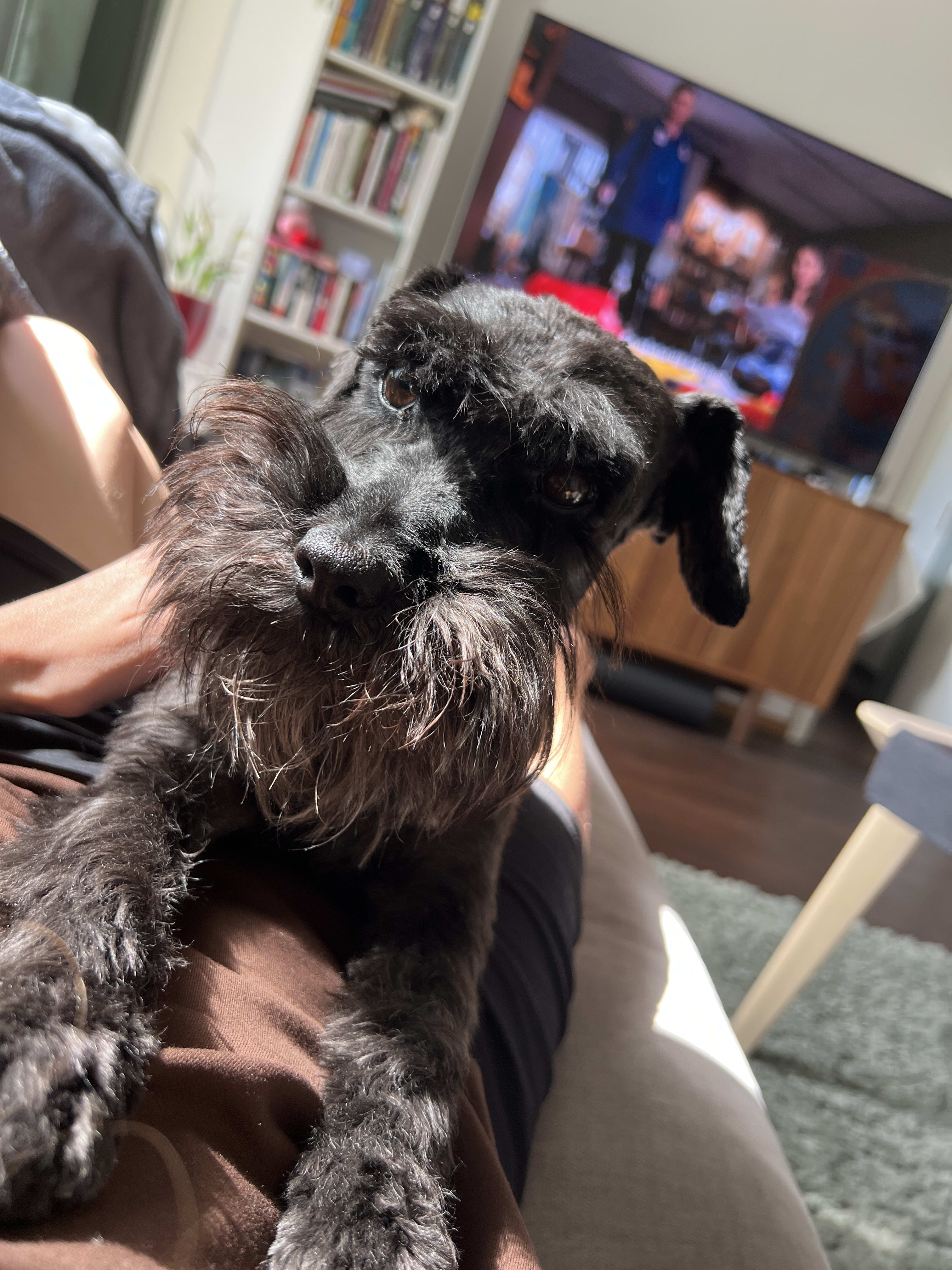 Sommareftermiddag