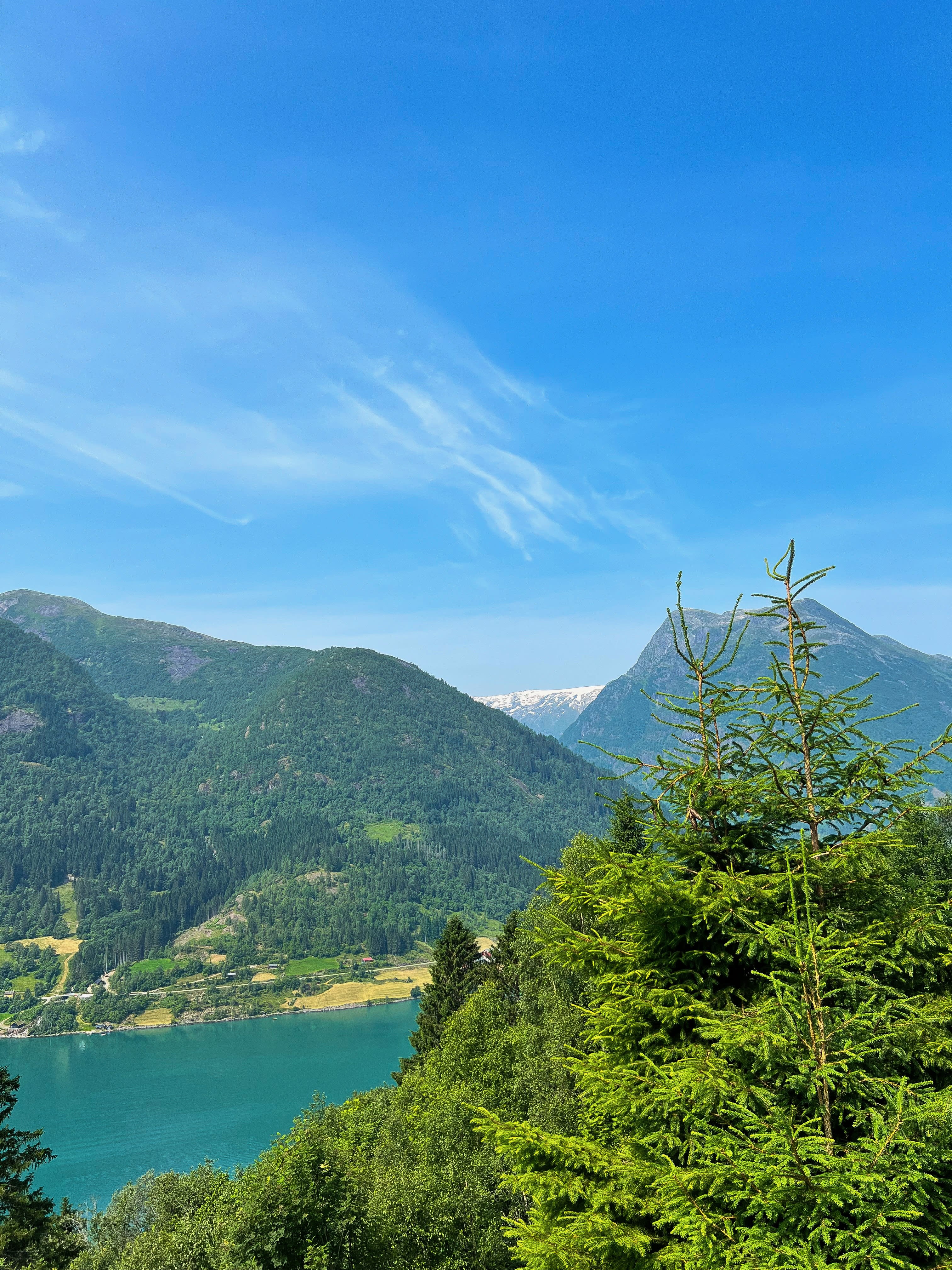 Fjord längs vägen