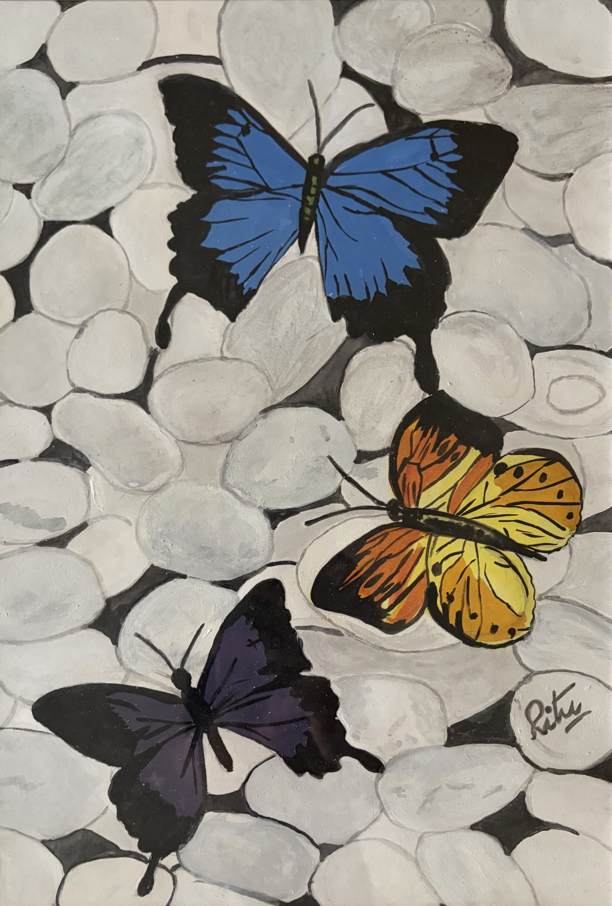Butterflies