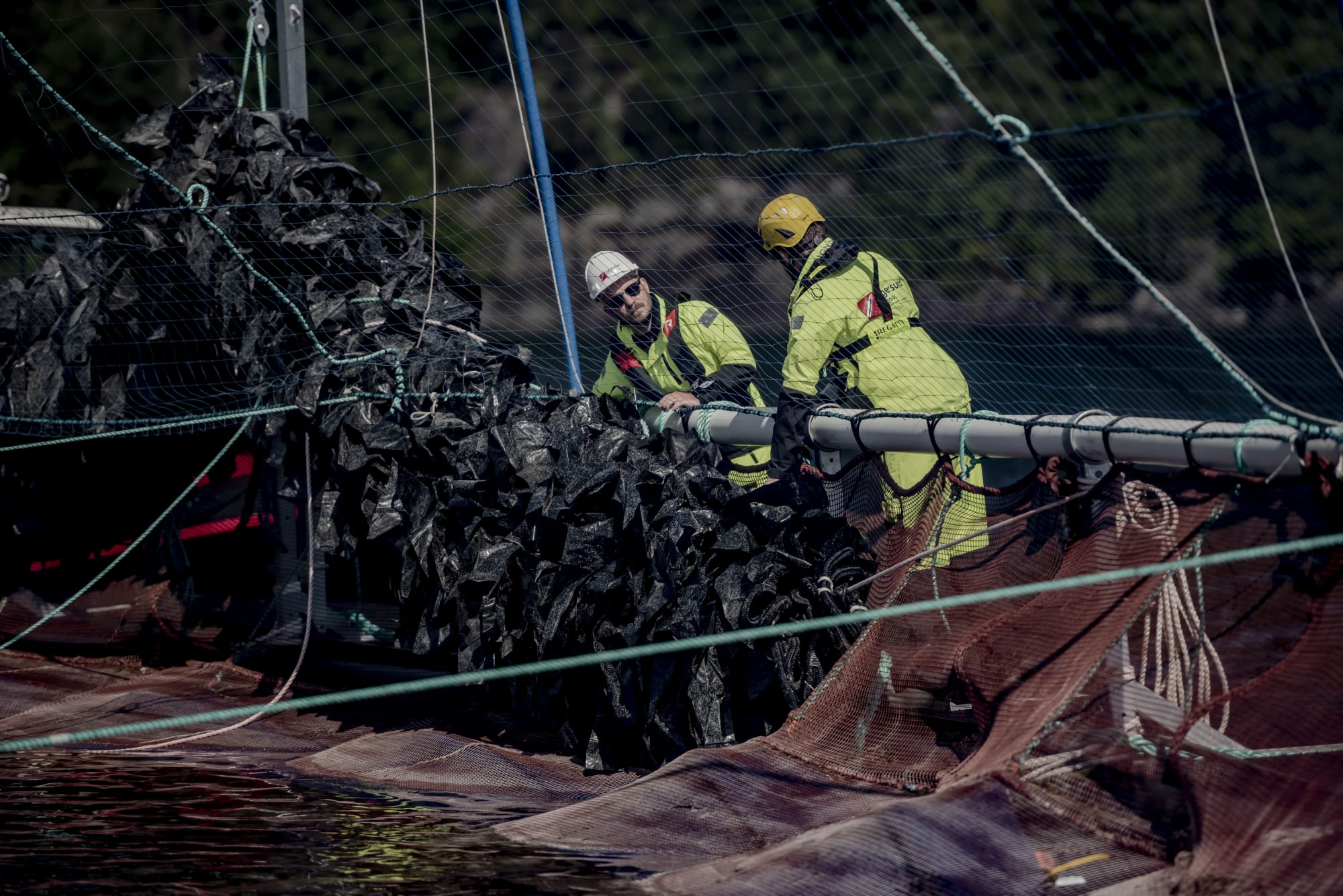 Rensefiskskjul tas opp av merden