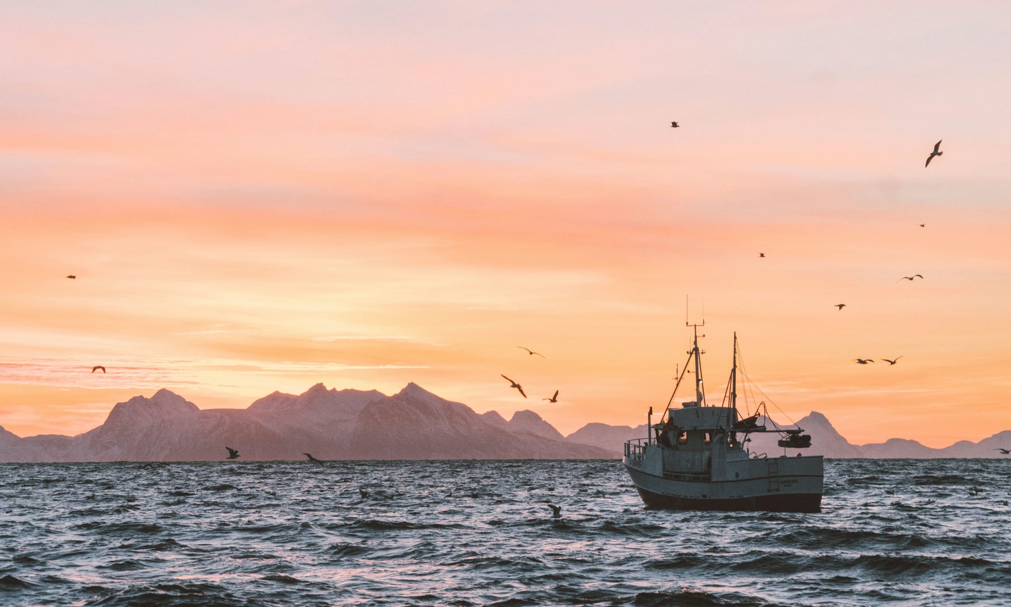 Jeg holder meg til kvalitetsutstyr fra OK Marine