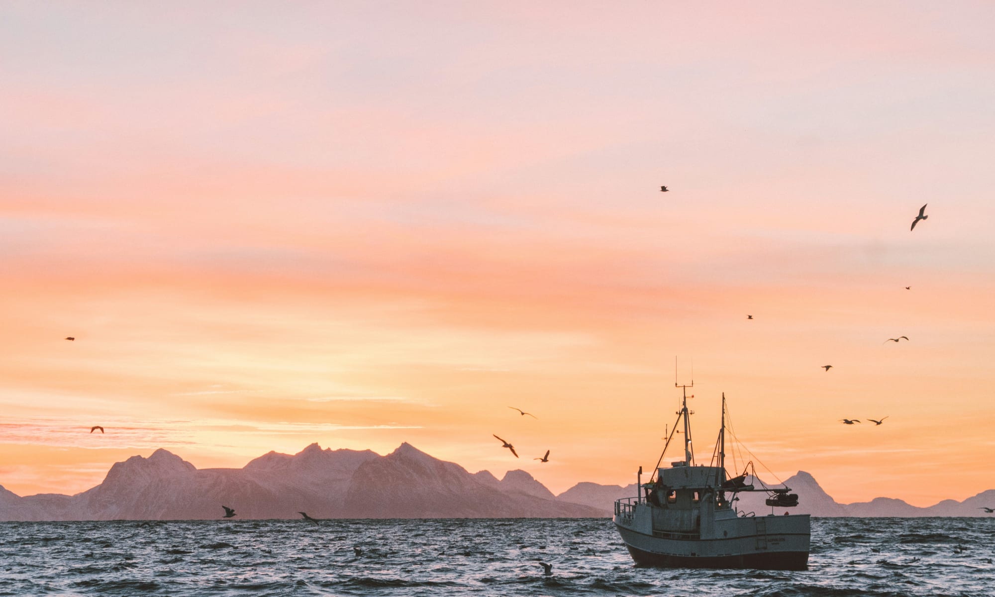 Jeg holder meg til kvalitetsutstyr fra OK Marine