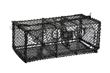 Hummerteine / Krabbeteine 9kg
