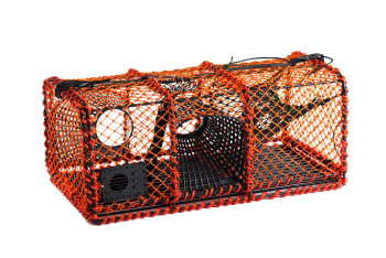 Skotteteine 12kg oransje med plastkalver