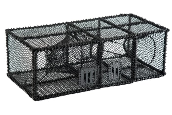 Leppefiskteine 80cm  60cm kalver