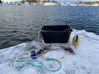 Trollgarn komplett sett