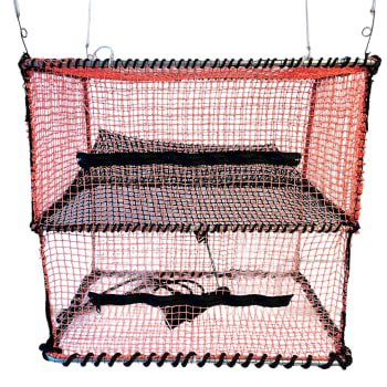 Fisketeine medium oransje med aluminiumsrammer