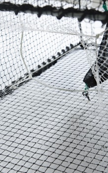 Kalve til fisketeine Havkrepseteine