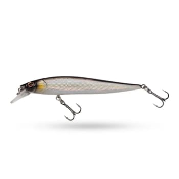 DEX Stunna 80 Baitfish