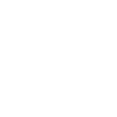 NanoOX Bolt