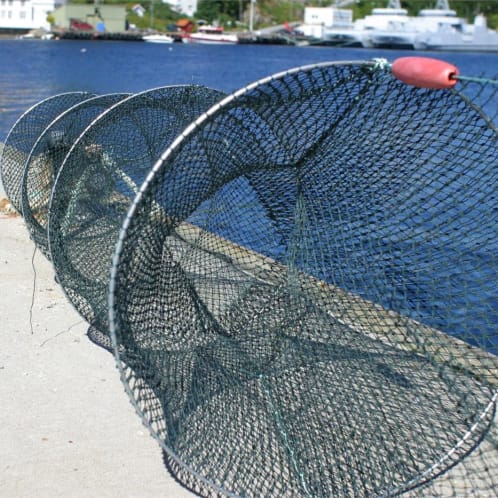 Linefiske, ruser og snørefiske