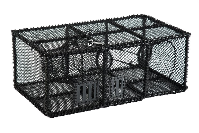 xxxLeppefiskteine 70cm 60/90 kalver