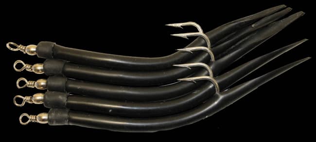 Gummimakk columbi sort