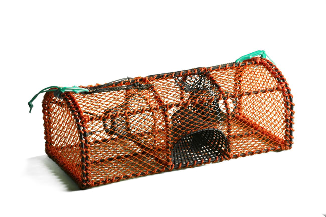 Krepseteine skottemodell