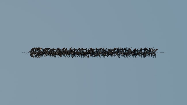 Rensefisk skjul (5 m) til utsettmerd m/bly.