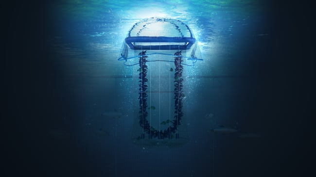 Rensefisk mottak-/ventemerd KOMPLETT