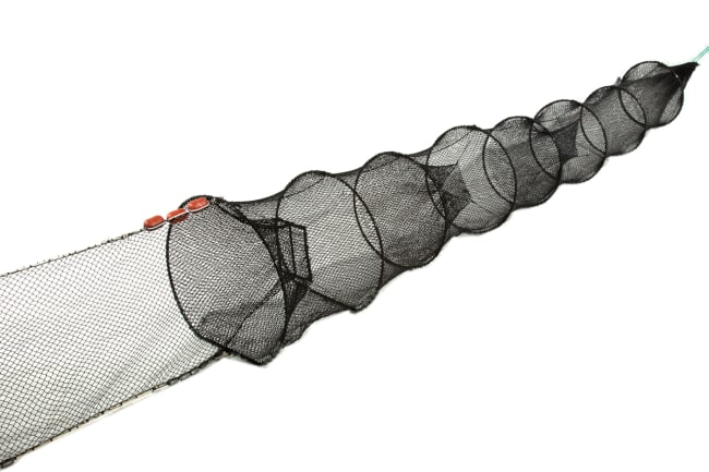 xxxRuse 8 ringer dobbel