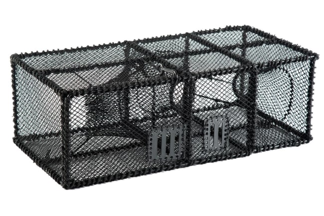 Leppefiskteine 80cm  60cm kalver