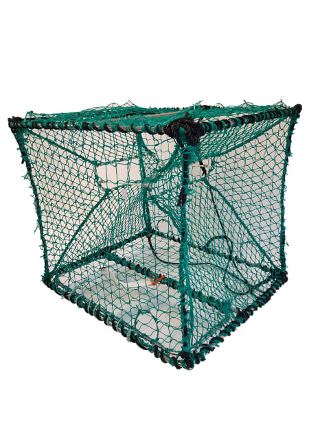 Kongekrabbeteine 120x100cm