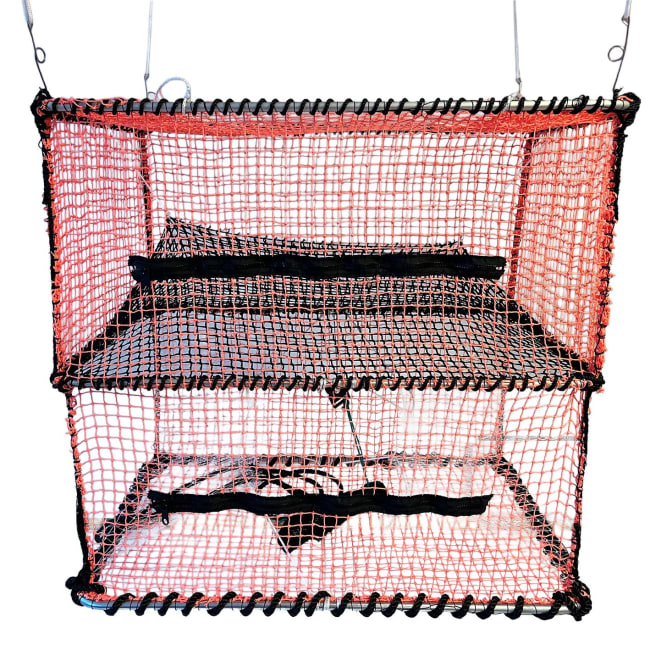 Fisketeine medium oransje med aluminiumsrammer