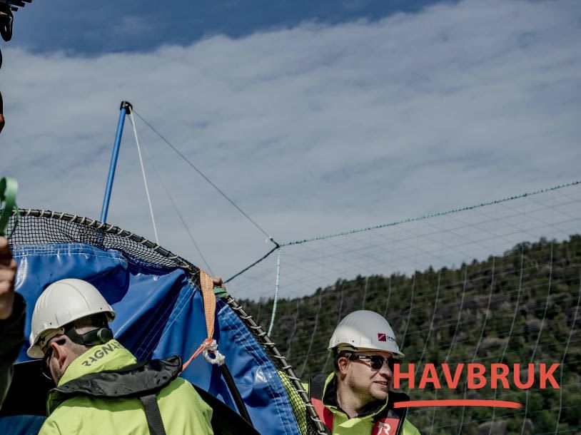 Gjenfangst og oppbevaring
