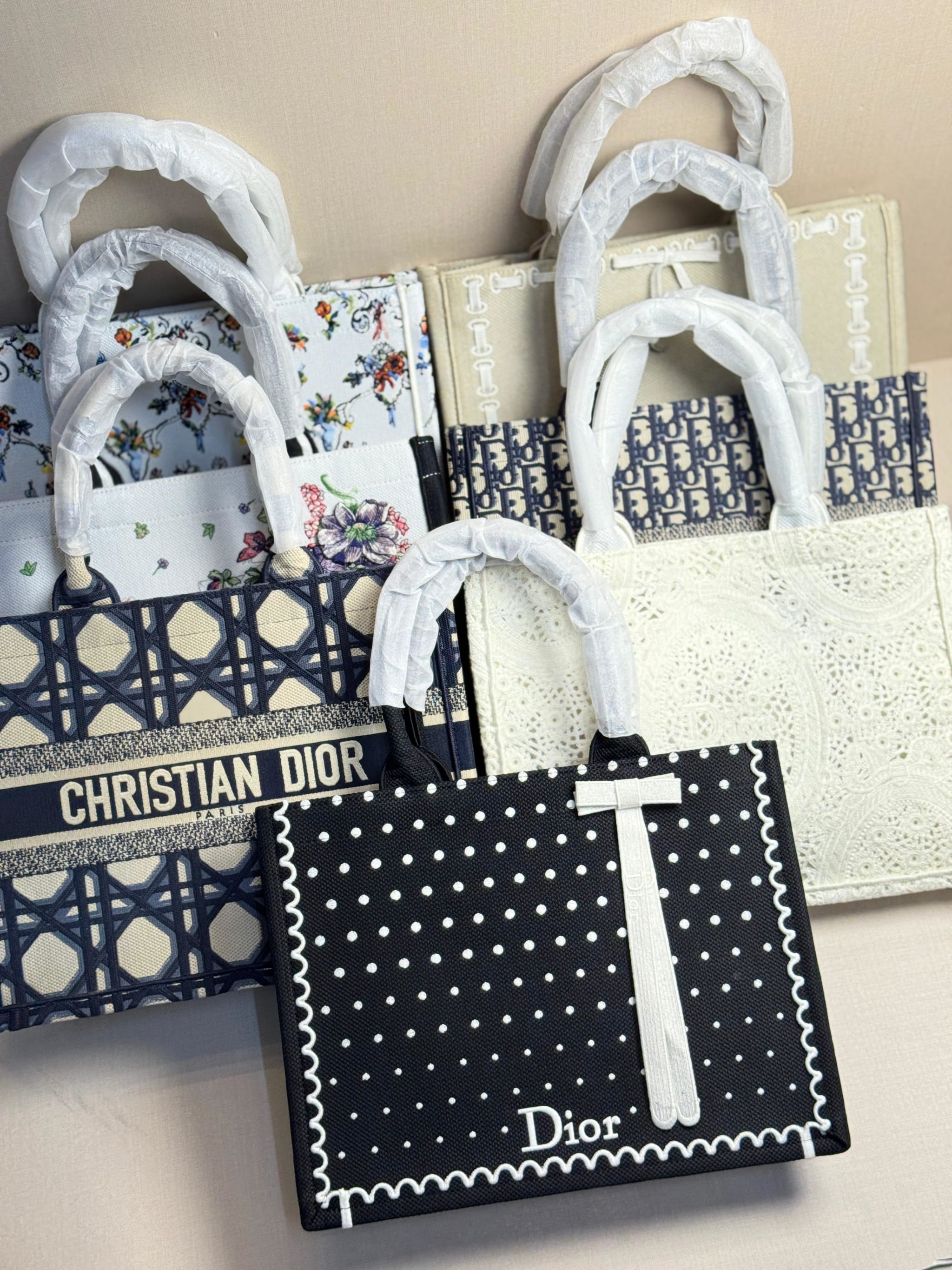 Dior Book Tote