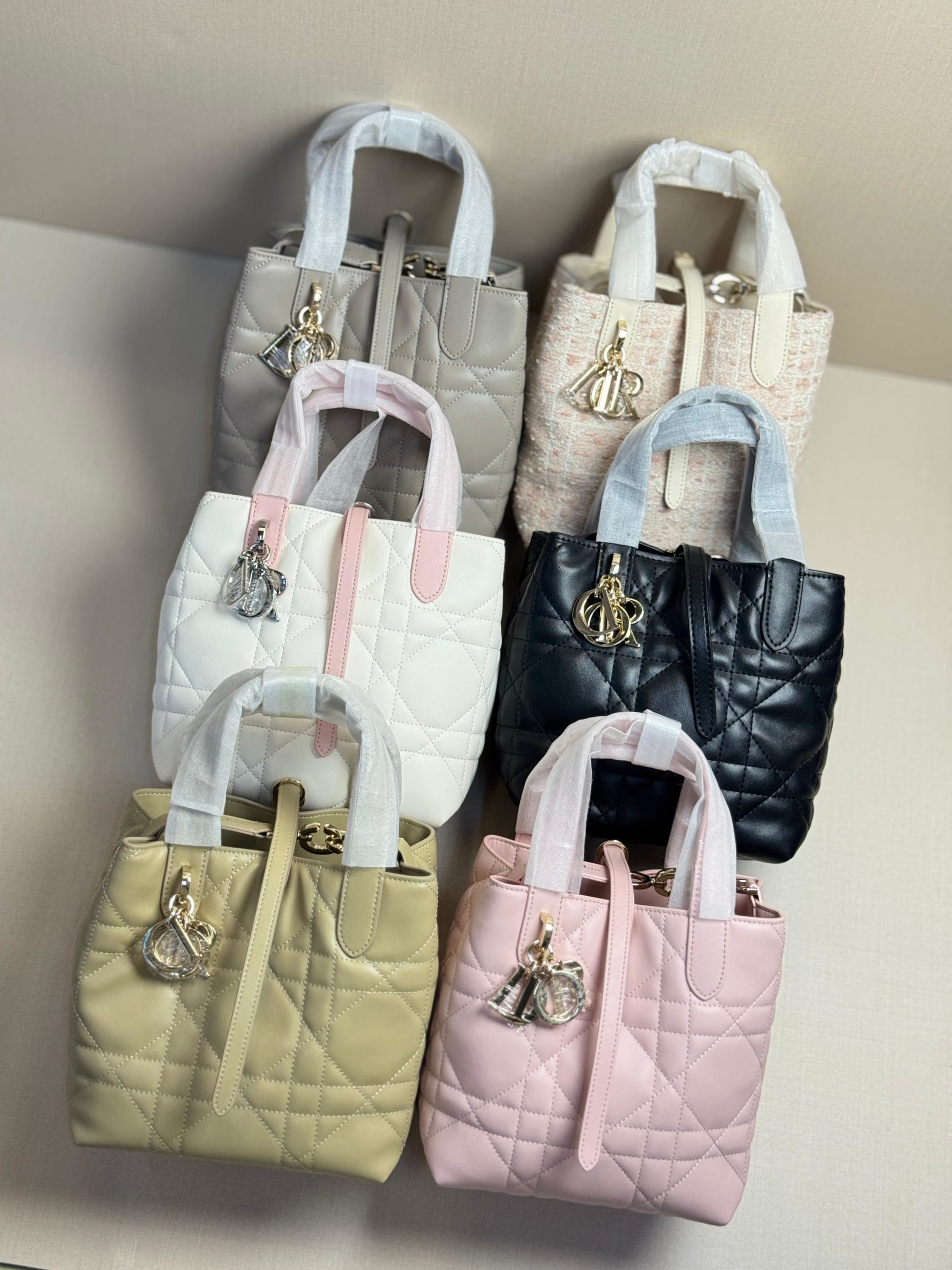 Dior Toujours Bag