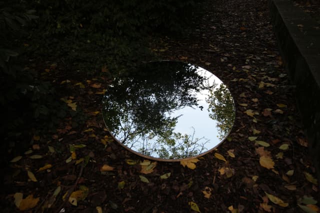 Anamorphic mirror