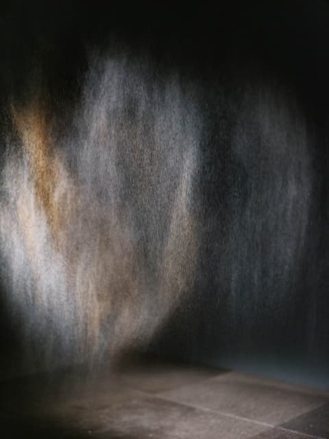 Beauty, 1993, detail - Auckland Art Gallery Toi o Tāmaki, Auckland, New Zealand – 2024 - Photo: David St George