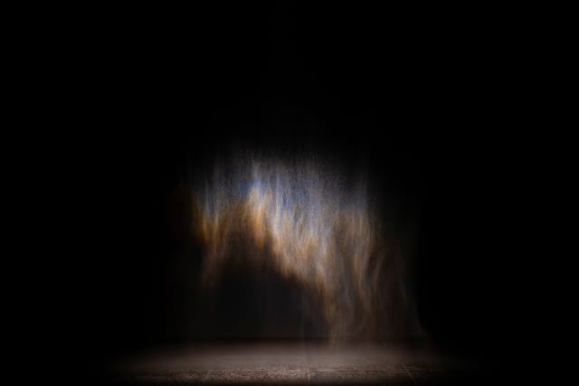 Beauty, 1993 - QAGOMA, Brisbane – 2025 - Photo: Nicholas Umek © QAGOMA