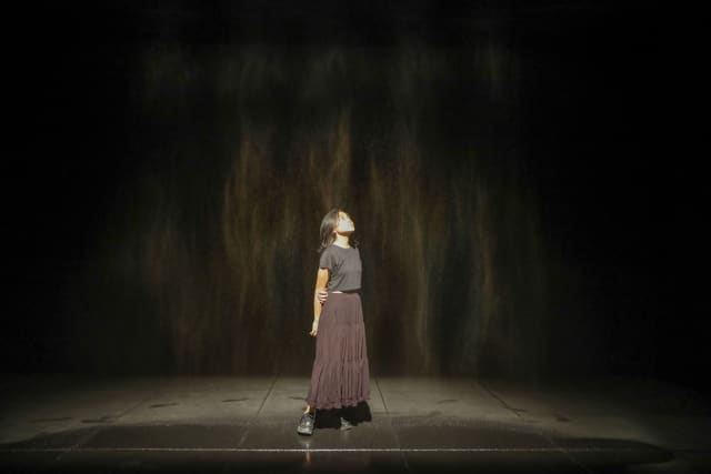 Beauty, 1993 - Museum of Contemporary Art and Design, Manila, Philippines – 2026 - Photo: Jake Verzosa