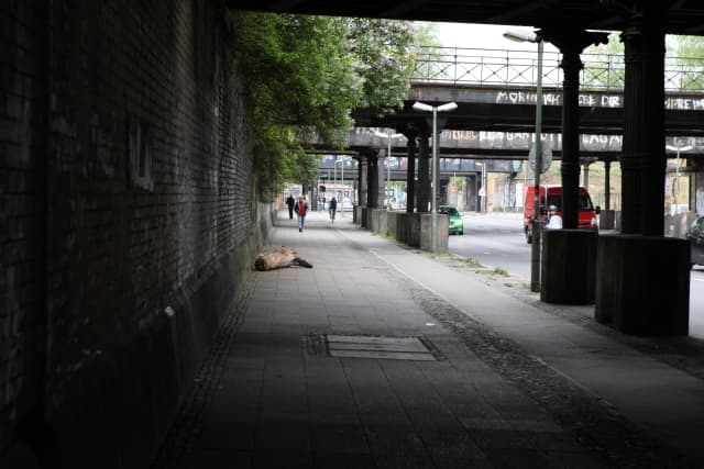 Berliner Treibholz, 2009 - Berlin, 2010 - Photo: María del Pilar García Ayensa / Studio Olafur Eliasson