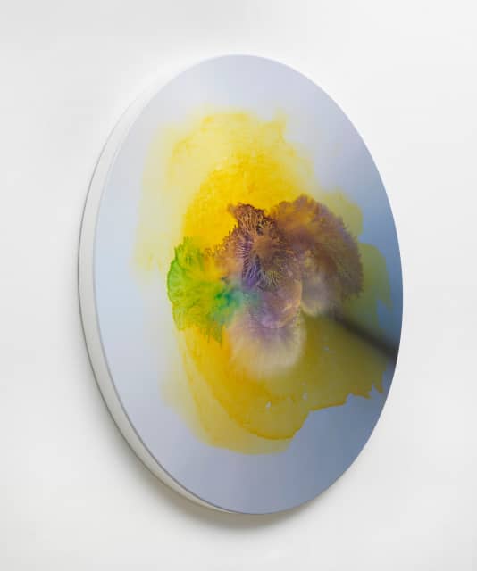 Colour experiment no. 106, 2020 - Studio Olafur Eliasson, Berlin – 2021 - Photo: Jens Ziehe